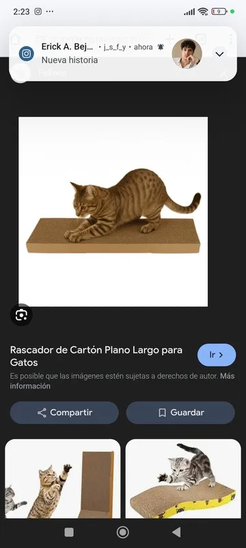 Empaque rascador: Rascador largo para gatos
