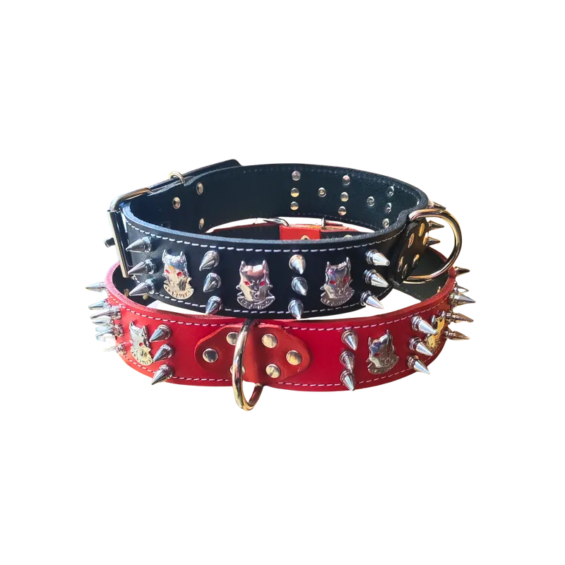Empaque collar: Collar cuero 100% real