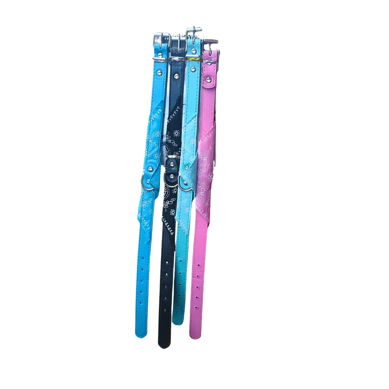 Empaque collar: Collar delgado para perritos cuero imitación
