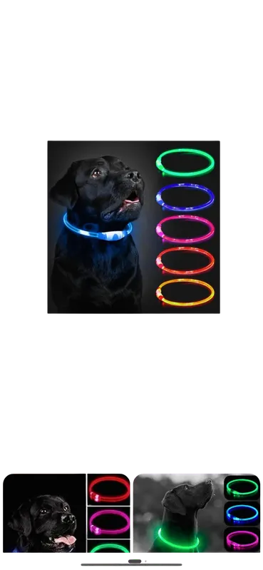 Empaque collar: Collar grande cuerina gruesa con detalles de perritos
