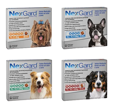 Empaque antiparasitario: NexGard Spectra 3,5-7,5 kg