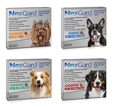 Empaque antiparasitario: NexGard 25,1-50 kg