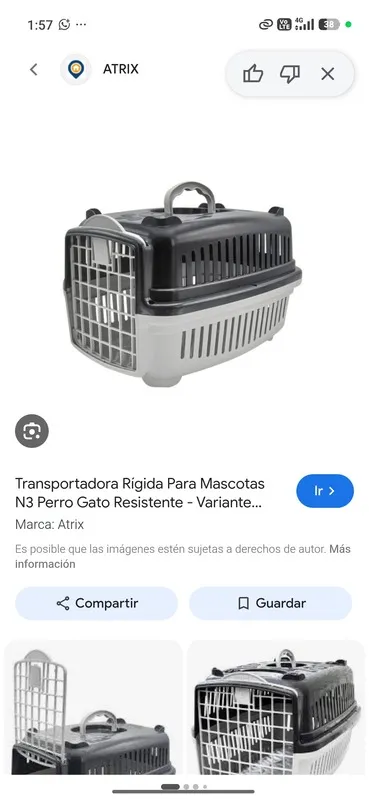 Empaque transportadora: Transportadora pequeña reja plástica