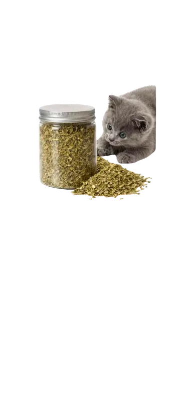 Empaque hierba gatuna: Hierba gatuna Catnip