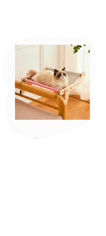 Empaque juguete: Luz para gatito tipo Lazer de diferentes formas