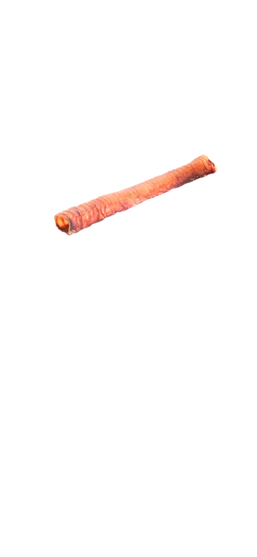 Empaque masticable: Tráquea deshidratada 30 cm