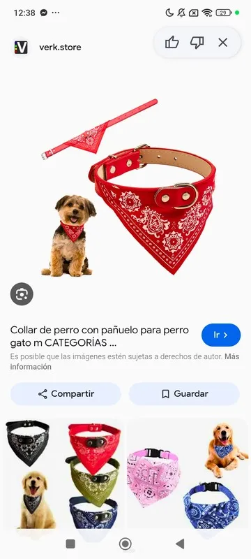 Empaque collar: Collar bandana grande