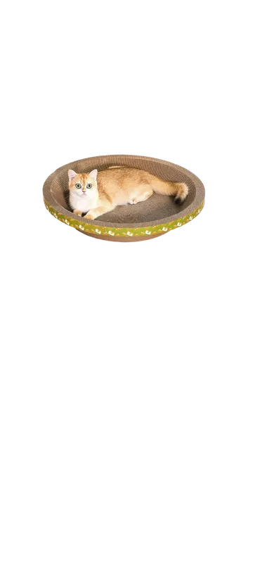Empaque rascador: Arco rascador para gatos