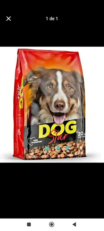 Empaque Dog Star Adultos 20 kg